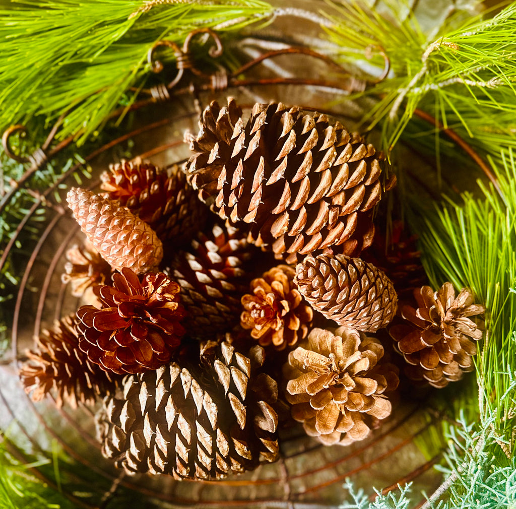 Enchanted Cinnamon & Clove Pine Cones – Naturally Scented Winter Magic
