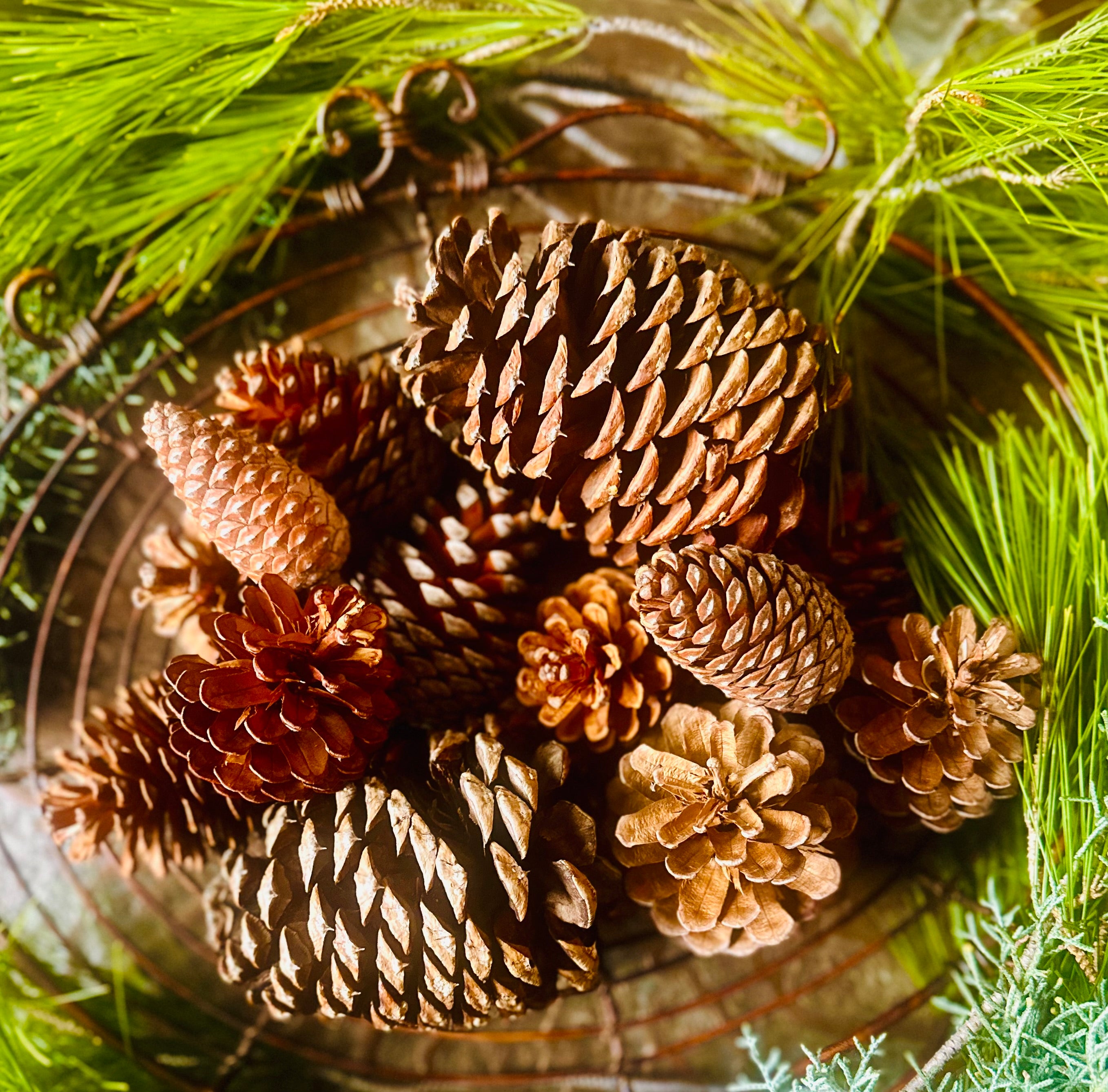 Enchanted Cinnamon & Clove Pine Cones – Naturally Scented Winter Magic