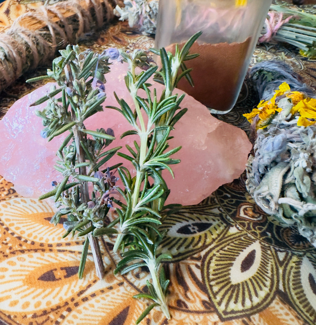 🌙 First of the Month Threshold Ritual Bundle