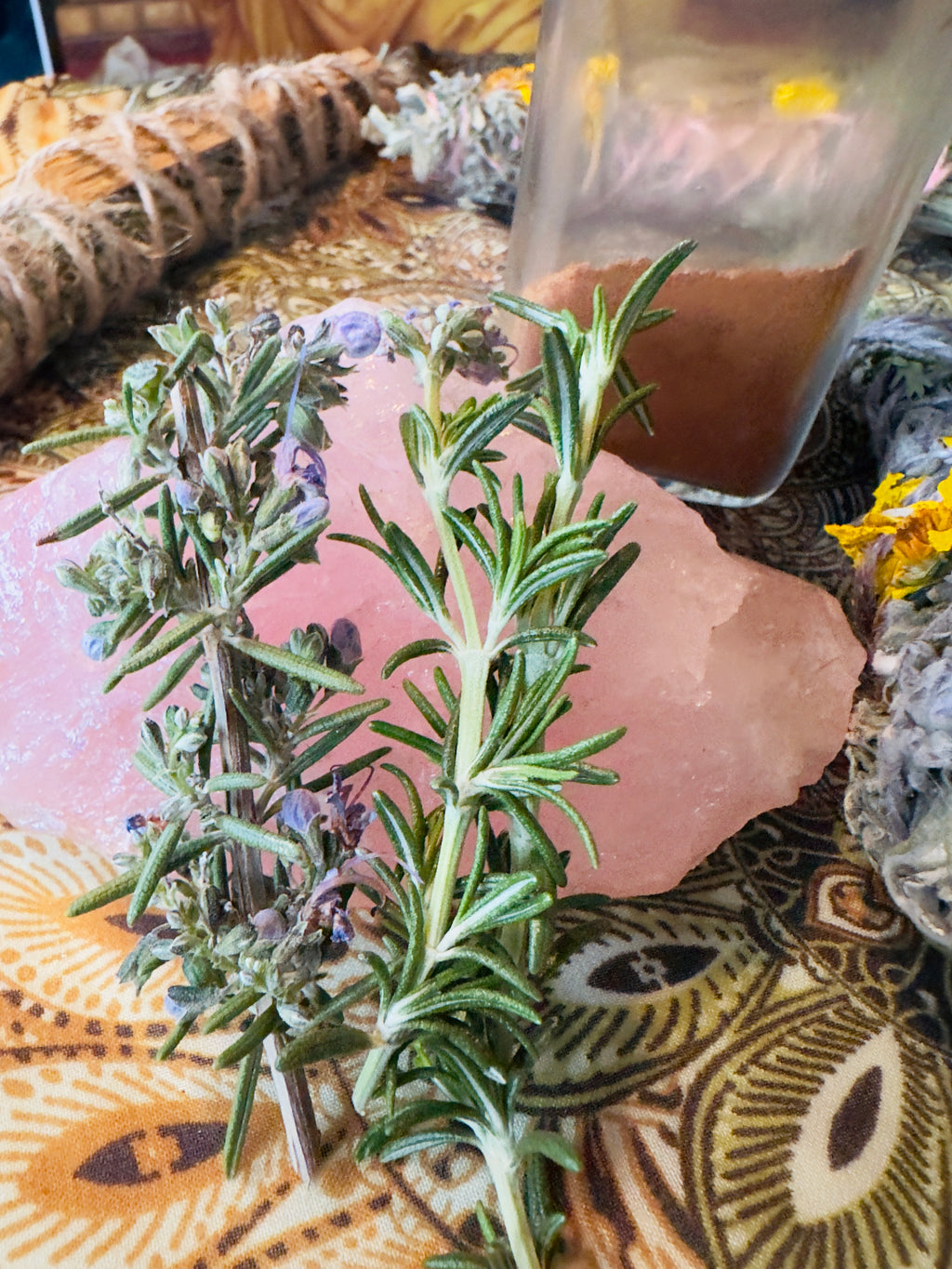 🌙 First of the Month Threshold Ritual Bundle